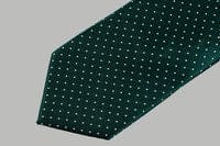 Cavani Green White Polka Dot Tie Set - Accessories