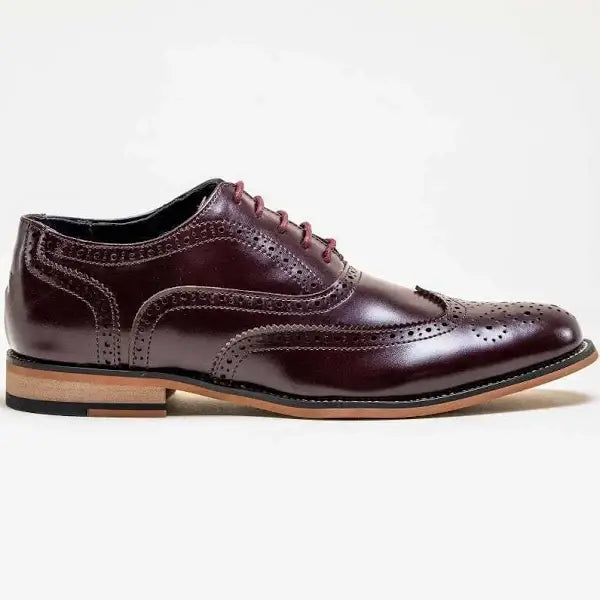 Cavani Oxford Wine Brogue Shoes - Shoes