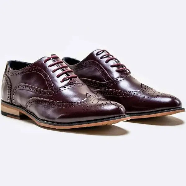 Cavani Oxford Wine Brogue Shoes - UK7 | EU41 - Shoes