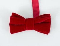 Cavani Red Velvet Bow Tie