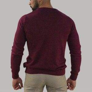 Cavani Men’s Wine Crewneck Knit - Shirts